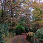 Catbells Sunrise Borrowdale District Keswick (Cumbria)
