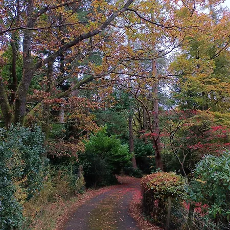 Catbells Sunrise Borrowdale District Keswick (Cumbria)